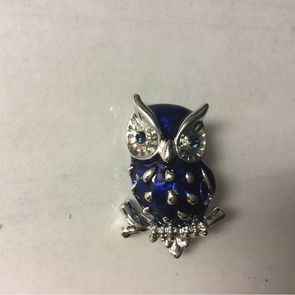 Blue Rhinestone & Enamel Silver Tone Owl Pin